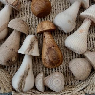 🍄 Podzimní novinky, na které jsem se těšila! 🍂 Do naší kolekce dorazily krásné houbičky z dubu, javoru a dalších druhů...